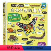 奇奇怪怪的虫虫 [正版]童书小小探险家第四辑-奇奇怪怪的虫虫 3-4-6岁科普立体翻翻书启蒙认知低幼儿童3d立体百科全