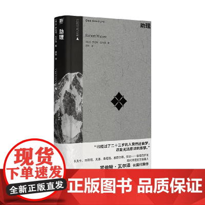 助理 罗伯特·瓦尔泽 著 小说