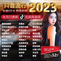 [补贴10%]汽车载SD卡无损高音质品质车用2023抖音新歌曲网红dj经典音乐优