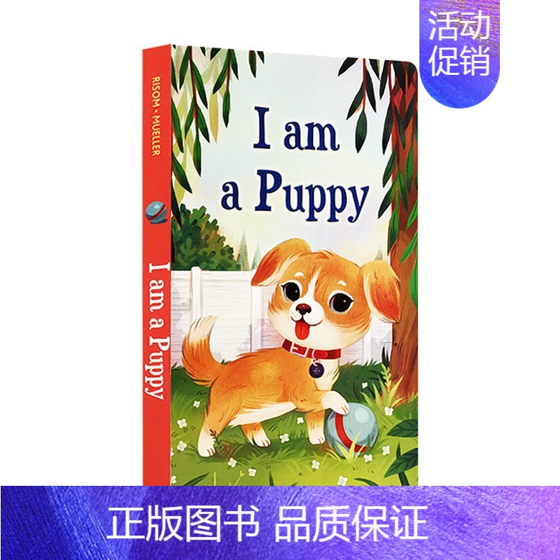 我是一只小狗 I am a Puppy [正版]我是一只兔子I am a bunny英文原版绘本 5册纸板书合售 Ric