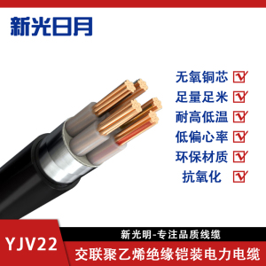 新光日月阻燃交联聚乙烯绝缘铠装电力电缆ZC-YJV22 4×25mm²/米