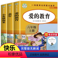 [正版]爱的教育小英雄雨来童年书全套3册高尔基原著完整版 快乐读书吧六年级上册必读小学生课外阅读书籍上学期经典名著
