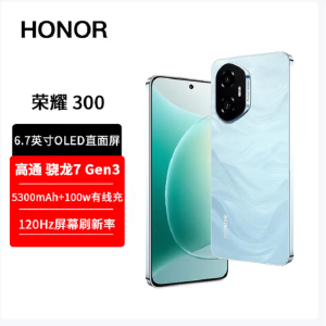 荣耀300 茶卡青 16GB+512GB 第三代骁龙7芯 5G 5300毫安青海湖电池 100W快充 拍照手机
