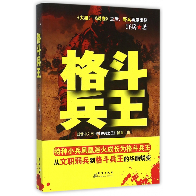 音像格斗兵王野兵
