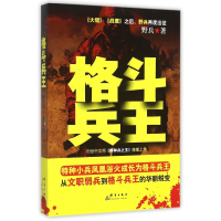 音像格斗兵王野兵