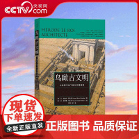 [央视网]鸟瞰古文明 重游古埃及 纵贯3000年古埃及史 古代城市遗址复原图建筑考古 建筑历史世界史收藏画册书籍 HL
