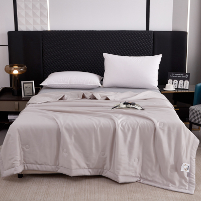 汉司家纺 200*230cm 天丝柔软丝滑水洗夏被空调被 1.00 件/条(计价单位:条)米灰