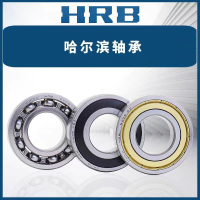 哈轴轴承6004Z
