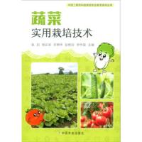 正版新书]蔬菜实用栽培技术赵凯,杨正安,邓明华,岳艳玲,李作