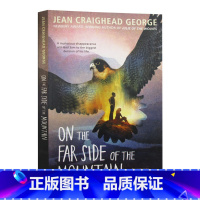 [正版]英文原版 On the Far Side of the Mountain 在山的另一边 青少年小说 英文版 进口