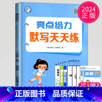 英语 六年级上 译林版 [正版]2024亮点给力计算天天练数学默写天天练语文人教版苏教版SJ译林版YL江苏二年级上册一年