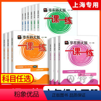 语数英(普通)+语数英(增强版) 6本 六年级下 [正版]2024一课一练六年级下册语文+数学+英语N版6年级上册华东师