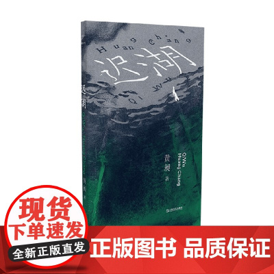 迟湖 艺文志 小说 黄昶 著 小说