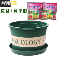 三维工匠塑料玫瑰盆栽花肉肉绿萝月季专用加伦树脂家用特大号超大加仑花 [3个盆]+月季肥3包 矮胖5.5L(口径2花盆容器