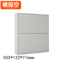 桃锦堂 储物鞋柜两层 个