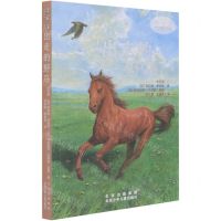 [N]出走的野马/沈石溪世界动物小说典藏-9787530161708