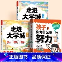 [3册]走进大学城+孩子你为什么要努力 [正版]斗半匠走进理想大学城百所名校解析全套211高考志愿填报指南2024中国大