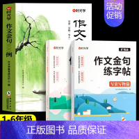 [全3册]作文金句+作文金句练字帖 小学通用 [正版]作文金句800例八百例 小学生素材句子积累优美段落写作方法与技巧书