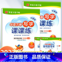 写字课课练.五上下 [正版]写字课课练 一二年级三四年级五六年级上册下册语文同步练字帖人教版小学生字帖练字本一课一练字帖