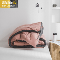 北欧简约柔软水洗棉春秋被子 双人被芯加厚保暖冬被 空调被可水洗 三维工匠