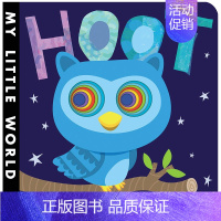 我的小世界 Hoot [正版]MY Little World 英文绘本儿童读物 宝宝英语早教纸板洞洞书 BIG FISH