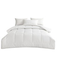 路盈顺 空调被 200*215cm 床