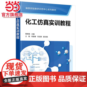 化工仿真实训教程(葛奉娟 )