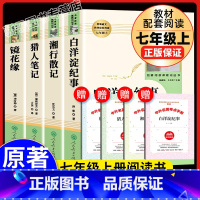 [全4册]白洋+镜花+猎人+湘行 人民教育出版社 [正版]镜花缘李汝珍初中生原著语文书阅读人民教育出版社七年级上册语文课