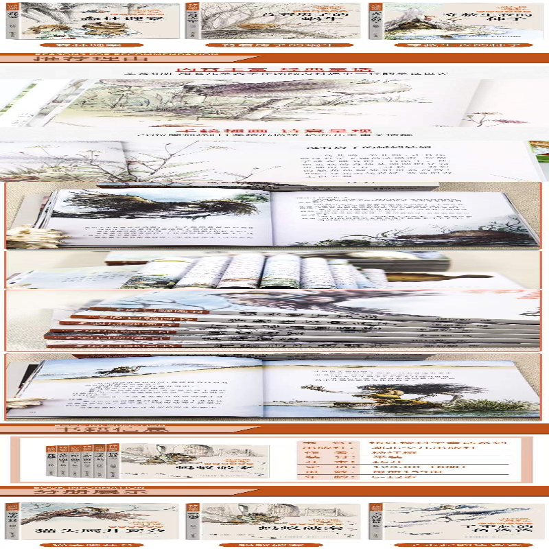 [M]杨红樱画本 科学童话系列 新版(全6册) 杨红樱,起点插画 著 -9787556028917
