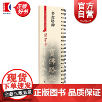 多宝塔碑 彩色放大本中国著名碑帖习字卡上海辞书出版社艺术中心编上海辞书出版社字卡多宝塔碑碑刻艺术书法颜真卿