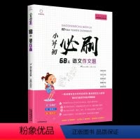 小升初必刷68篇 语文作文题 小学升初中 [正版]2023小升初必刷题人教版语文数学英语总复习资料书专项训练习册基础知识