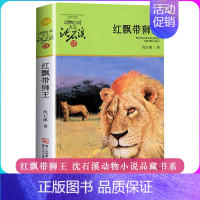 [正版]红飘带狮王 动物小说大王沈石溪品藏书系 升级版 青少年的课外启发读物教辅9-10-11-12岁小学三四五六年级儿