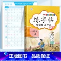 ❤️[一年级]优美句子字帖+一上同步字帖 [正版]优美句子积累字帖大全小学生练字帖每日一练好词好句好段正楷三四年级上册6
