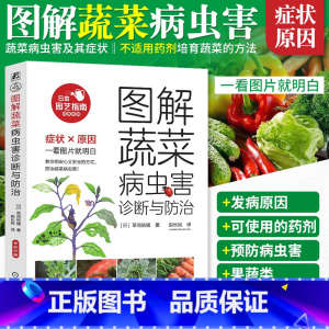 [正版]图解蔬菜病虫害诊断与防治 番茄黄瓜辣椒常见蔬菜栽培种植书籍 瓜类茄果类豆类叶菜类蔬菜栽培技术病虫害识别及防治知
