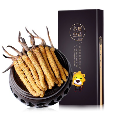 青源堂冬虫夏草一级品质虫草3条/g高品质干度足无断草无竹签