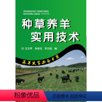[正版] 种草养羊实用技术 养羊致富技巧书籍 图文结合紧密内容翔实 实用性养殖养羊技术书籍 养殖类精选书籍 养羊技术书
