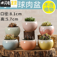 三维工匠多肉花盆陶瓷创意个性粗陶透气家用大口径盆栽小花盆 小圆球(6个) 小花盆容器