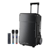 山水(SANSUI)户外拉杆大功率音响 移动蓝牙露营重低音炮音箱 山水A12(12吋音响+双话筒)