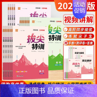 语文[人教版] 三年级上 [正版]江苏版2024秋拔尖特训一二三四五六年级上册下册语文数学英语人教版苏教版译林版通城学典