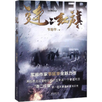 音像连二红旗节延华