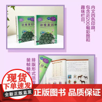 读懂基因遇见元素化学遗传学科普读物用生动的故事和实例轻松理解化学和生命的奥秘