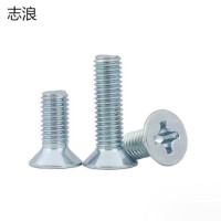 志浪 镀锌沉头螺钉4*30 个