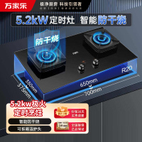 万家乐猛火燃气双灶AC7A家用智能防干烧左定嵌入式台嵌两用 [智能防干烧+左定时]