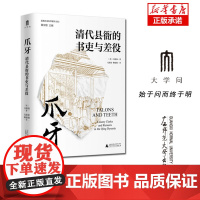 实践社会科学系列 爪牙:清代县衙的书吏与差役