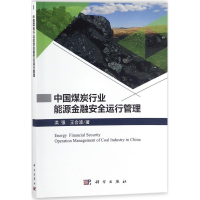 音像中国煤炭行业能源金融安全运行管理洪强,王会波 著