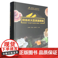 阴条岭大型真菌图鉴(精)/秘境阴条岭生物多样性丛书