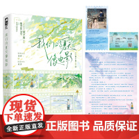 我们的夏天像电影 帘十里著 孤单少女x温柔少年 春枝秋雨同作者 青梅竹马BE意难平 青春言情小说实体书 新视角图书正版