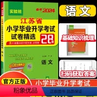 [正版]2024小升初春雨48套考必胜 江苏省小学毕业升学考试试卷精选28套卷语文人教版江苏小升初小学生同步练习六年级
