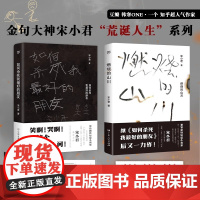 如何杀死我最好的朋友 燃烧的山川 金句大神宋小君荒诞人生系列 与大冰张嘉佳同获第九届影响力作家 书全新力作