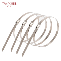 汇继 不锈钢扎带 4.6*300mm/个